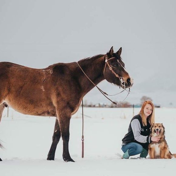 Meet your Posher, Trinity - Picture 1 of 1